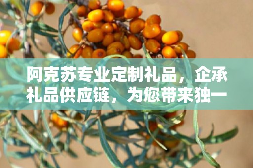阿克苏专业定制礼品，企承礼品供应链，为您带来独一无二的礼品定制体验